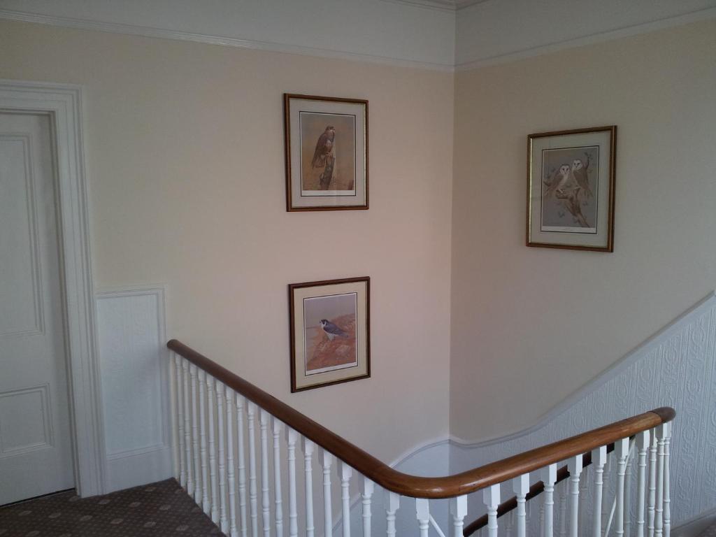 Mulberry House Otel Torquay Dış mekan fotoğraf